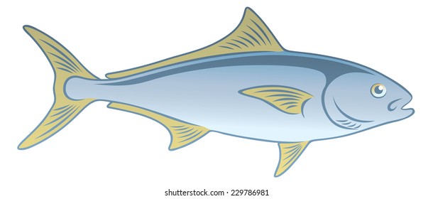 The figure shows a fish amberjack