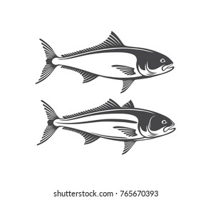 The figure shows a fish amberjack