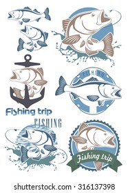 The figure shows a  fish bass