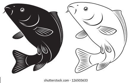 The figure shows a fish carp