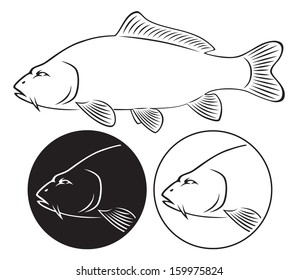 The figure shows a fish carp