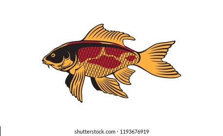 The figure shows a fish carp koi