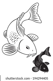 The figure shows a fish carp koi