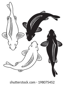 The figure shows a fish carp koi