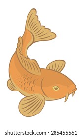 The figure shows a fish carp koi