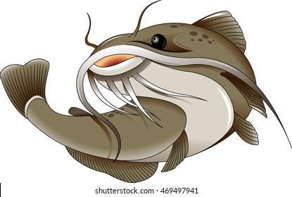 The Figure Shows The Fish Catfish, Vector