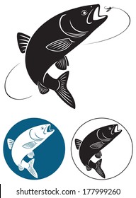 the figure shows the fish chub