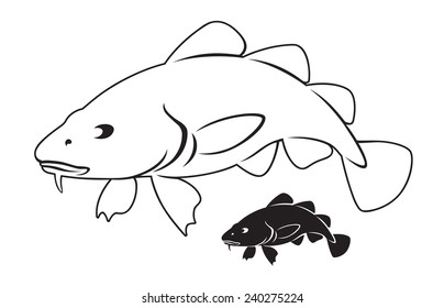 the figure shows the fish cod