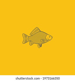the figure shows the fish crucian