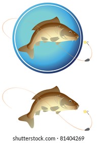 the figure shows a fish with a hook