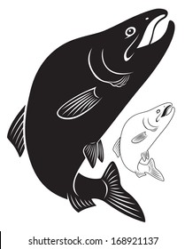 the figure shows the fish humpback