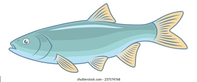 the figure shows the fish ide