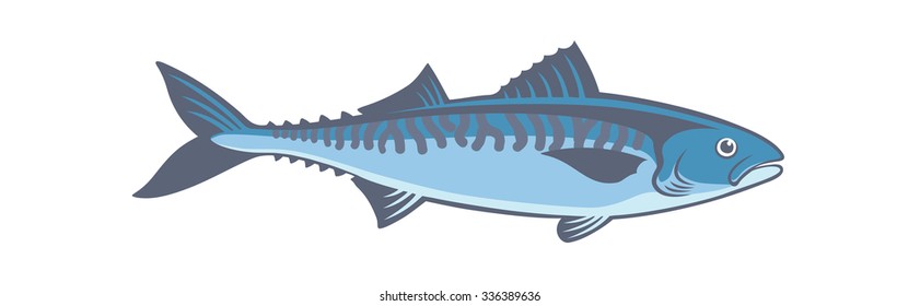 The figure shows a fish mackerel