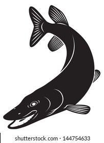 the figure shows a fish pike