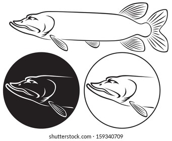 the figure shows a fish pike