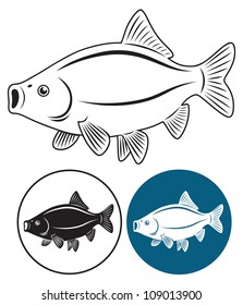 the figure shows the fish rudd