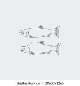 the figure shows the fish salmon