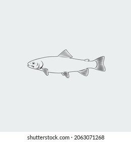 the figure shows the fish salmon