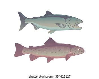 the figure shows the fish salmon
