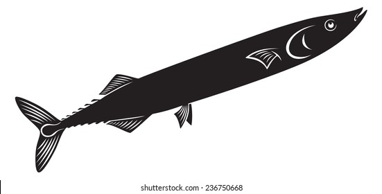 The figure shows a fish saury