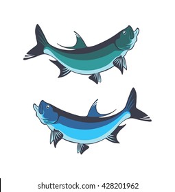 The figure shows a fish tarpon