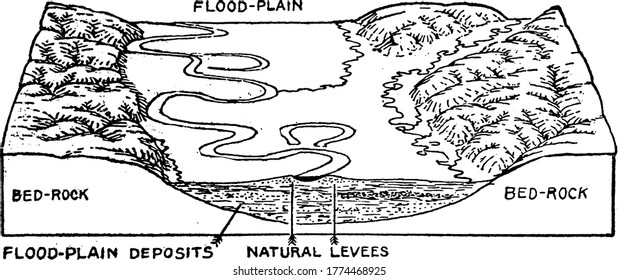 la figura muestra una llanura de inundación, que es un área de tierra adyacente a un arroyo o río que se extiende desde las orillas de su canal, dibujo vintage de línea o ilustración de grabado.