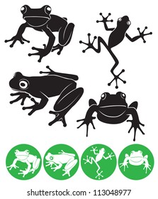 The figure shows a frog