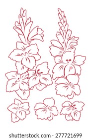 Figure Shows Gladiolus Flower Stock Vector (Royalty Free) 277721699 ...