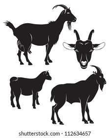 The figure shows a goat