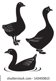 the figure shows a goose