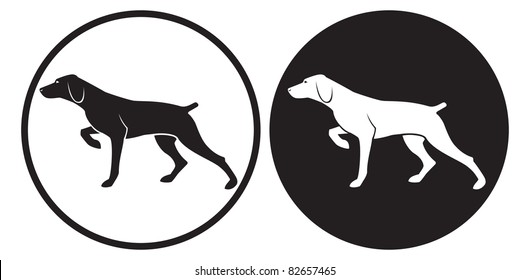 The Figure Shows A Hunting Dog