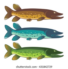 The figure shows the icons pike fish