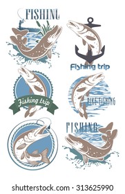 The figure shows the icons pike fishing