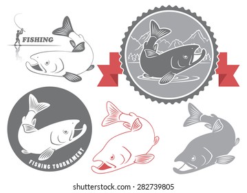 The figure shows the icons salmon