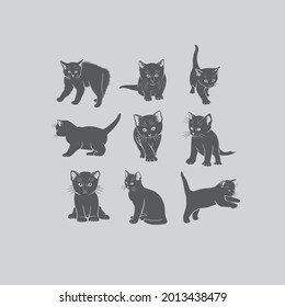 the figure shows a kitten set