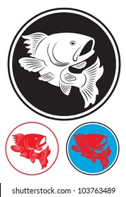 the figure shows the koi carp