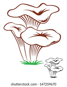 the figure shows the mushrooms
