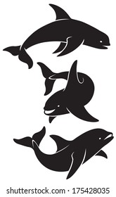 the figure shows orca whale