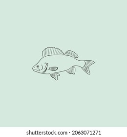The figure shows a perch fish