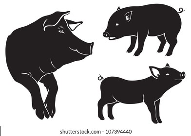 the figure shows a pig