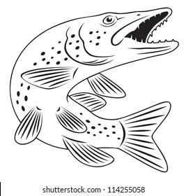 the figure shows a pike fish