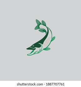 The figure shows a pike fish