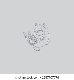 The figure shows a pike fish