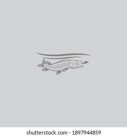 The figure shows a pike fish