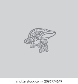 The figure shows a pike fish