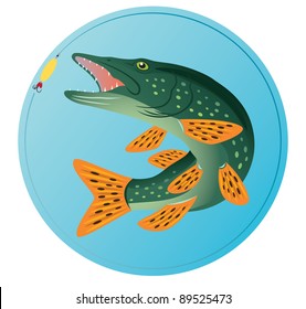 the figure shows the pike fish