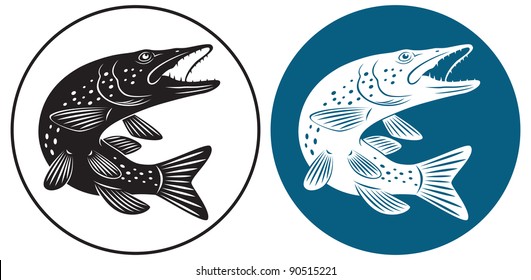 the figure shows the pike fish