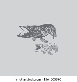 the figure shows pike fish image