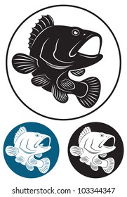 the figure shows the predatory fish