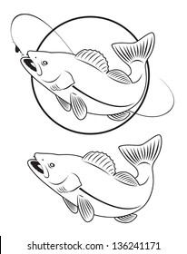 the figure shows the predatory fish